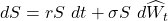 dS = rS\ dt + \sigma S\ d \widehat{W}_t